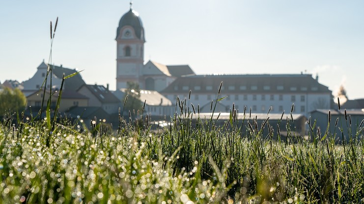 Kloster Rohr